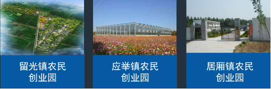全力助推河南新鄉(xiāng)封丘縣委托招商引資，立足特色產(chǎn)業(yè)，打造魅力封丘