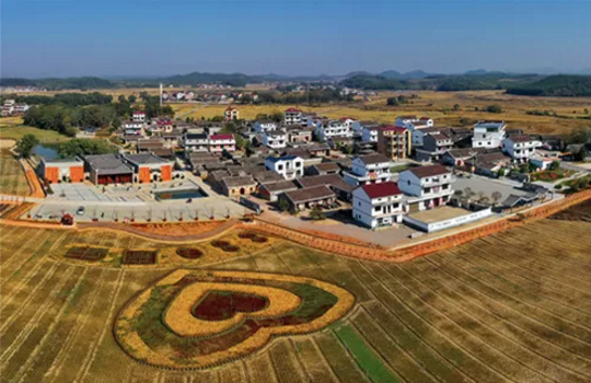 全力助推江西撫州金溪縣委托招商引資，加快建設現代生態產業新城