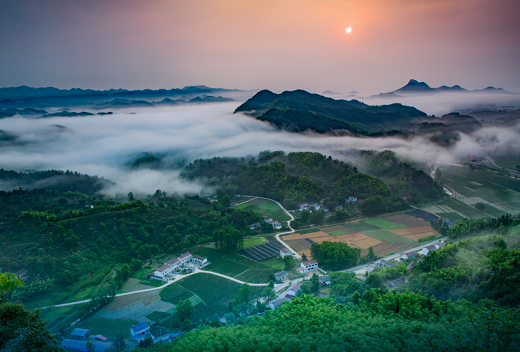 集團(tuán)全力助推安徽六安霍山縣委托招商引資，著力打造支柱型特色產(chǎn)業(yè)高質(zhì)發(fā)展
