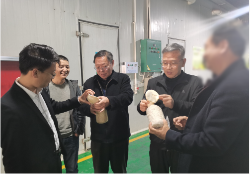 合作邁出堅(jiān)實(shí)一步！集團(tuán)推進(jìn)3家優(yōu)質(zhì)投資選址企業(yè)精準(zhǔn)對(duì)接地方政府