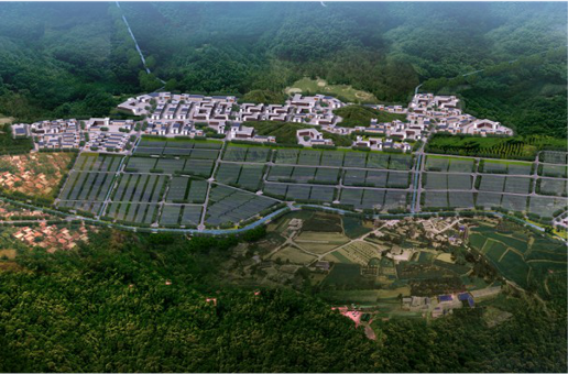 集團(tuán)全力助推福建寧德周寧縣委托招商引資，強(qiáng)化特色產(chǎn)業(yè)實(shí)力，為全縣高質(zhì)量發(fā)展增添新動(dòng)力