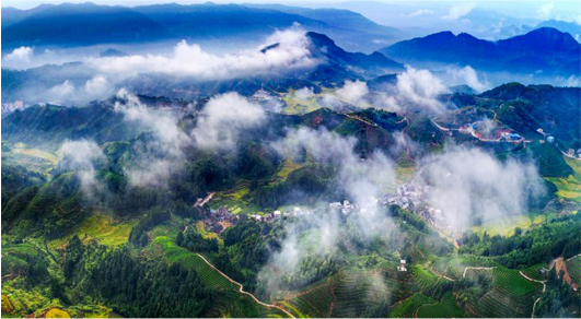 集團(tuán)全力助推福建寧德周寧縣委托招商引資，強(qiáng)化特色產(chǎn)業(yè)實(shí)力，為全縣高質(zhì)量發(fā)展增添新動(dòng)力
