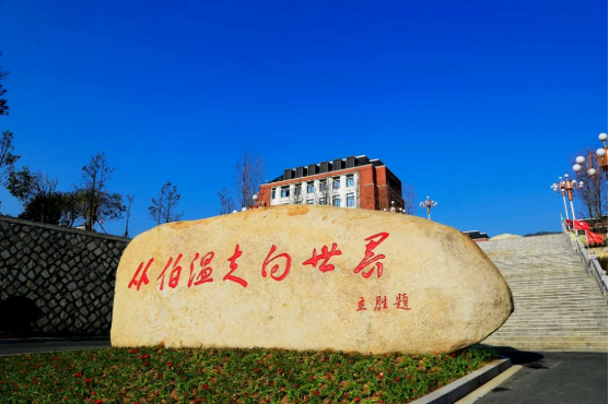 集團全力助推浙江省麗水市青田縣委托招商引資，以產業集聚厚植發展優勢！