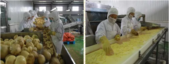 集團(tuán)全力助推黑龍江省依安縣委托招商引資，發(fā)揮產(chǎn)業(yè)支撐帶動作用