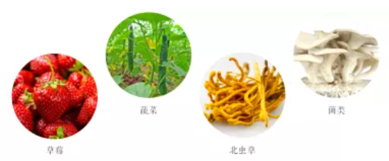 集團(tuán)全力助推遼寧省燈塔市委托招商引資，以“特色小鎮(zhèn)”打造全國(guó)產(chǎn)業(yè)集聚區(qū)