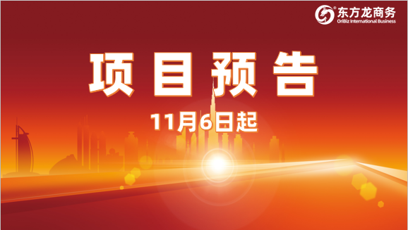 搶抓進(jìn)博機(jī)遇，堅(jiān)持一線開(kāi)發(fā)！11月6日起，17家優(yōu)質(zhì)投資選址企業(yè)精準(zhǔn)對(duì)接全國(guó)政府園區(qū)