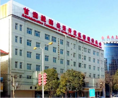 集團(tuán)全力助推甘肅隴南成縣委托招商引資，充分挖掘資源潛力，增強(qiáng)經(jīng)濟(jì)發(fā)展動(dòng)力