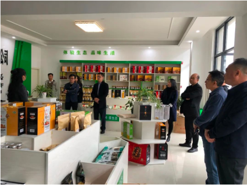 集團(tuán)全力助推甘肅隴南成縣委托招商引資，充分挖掘資源潛力，增強(qiáng)經(jīng)濟(jì)發(fā)展動(dòng)力