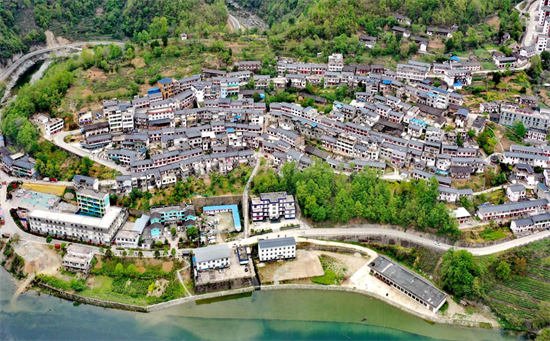 集團全力助推甘肅隴南武都區委托招商引資，將地域資源優勢轉化為經濟發展新動能