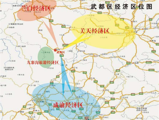 集團全力助推甘肅隴南武都區委托招商引資，將地域資源優勢轉化為經濟發展新動能